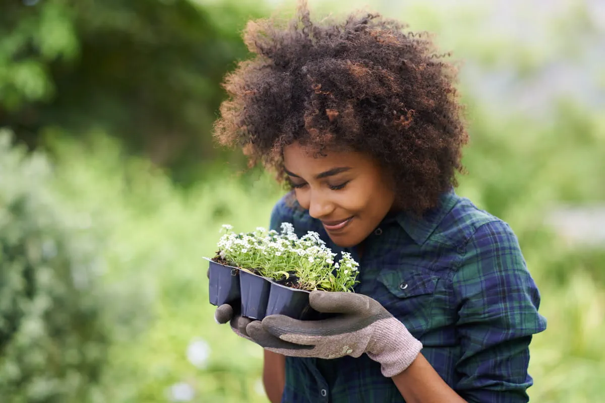 A person outdoors gently holding a tray of small white flowering plants and smiling as they smell them, surrounded by lush green foliage.